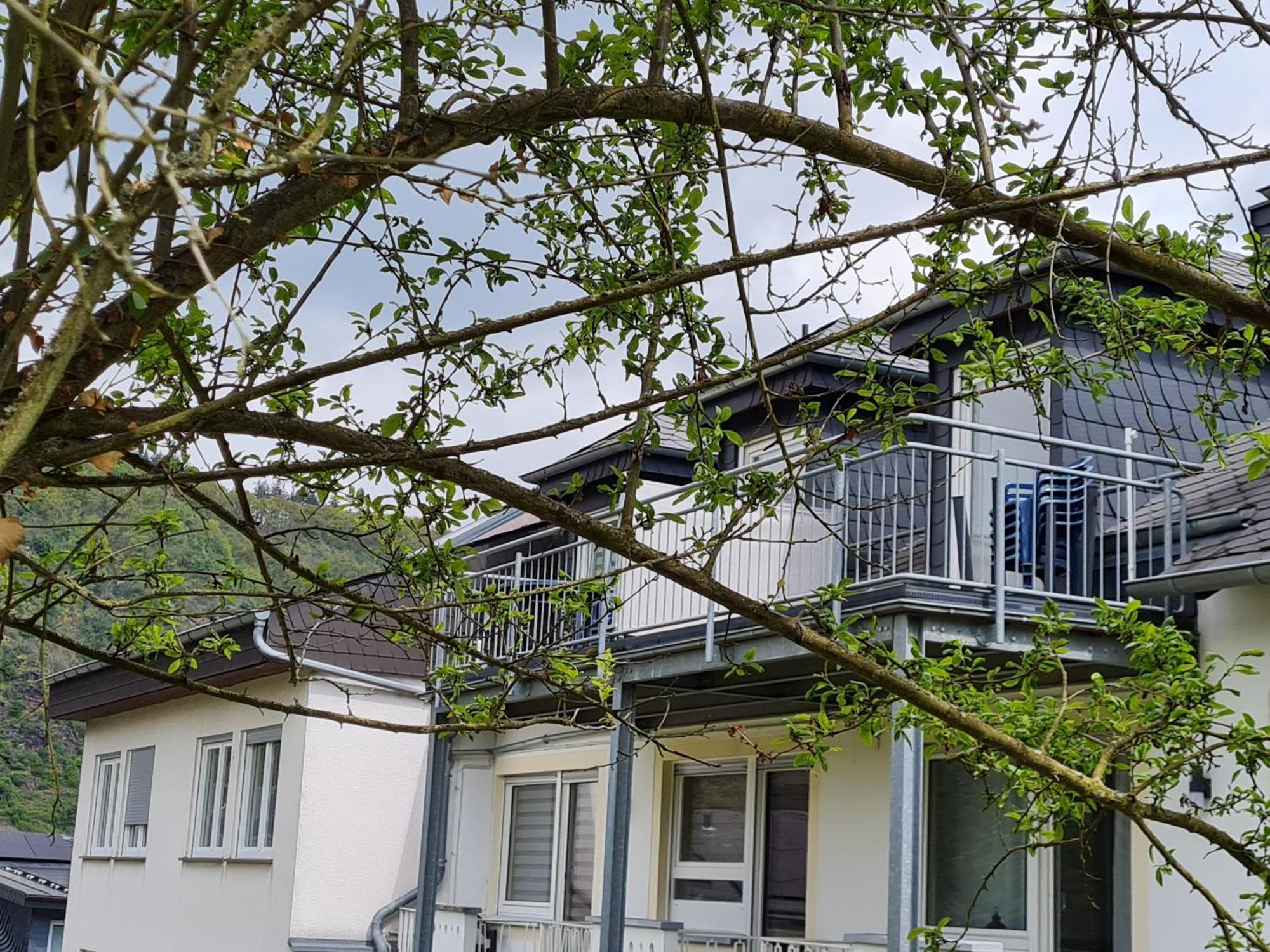 קוכם Ferienhaus Am Reilsbach מראה חיצוני תמונה